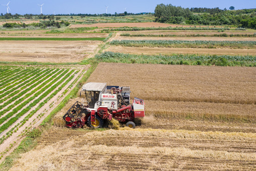 2022年重点强农惠农政策-摄图网