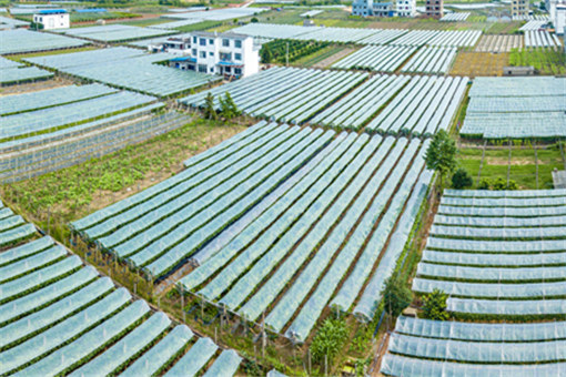 2022年桂林市粮食产业扶持办法-摄图网