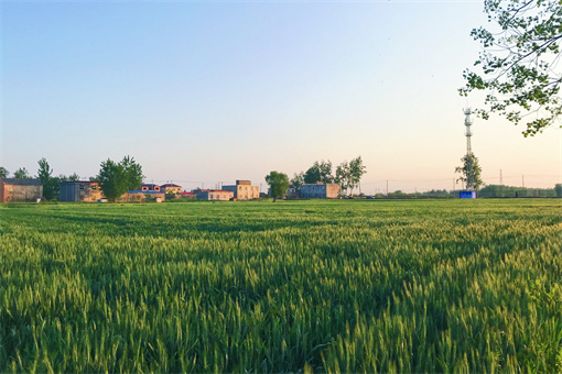 淄博市2022年农用地基准地价是多少？附各区经营权、承包经营权基准地价！