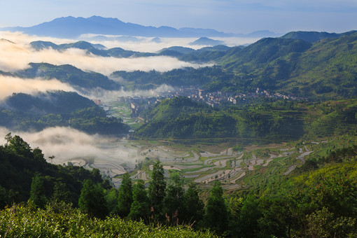 苍南县2022年最新征地拆迁村名单-摄图网