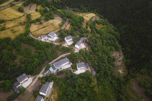 四川各地低保标准2022-摄图网