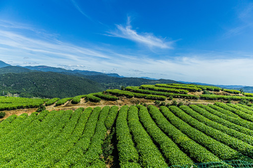 仓山区拆迁补偿标准-摄图网