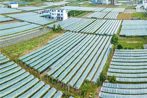 寿县农业特色产业补助标准2022年-摄图网