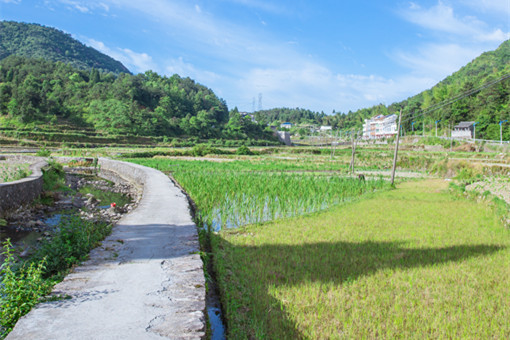 伍家岗区土地补偿标准-摄图网