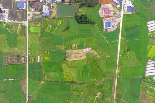 樊城区农村产权交易应提交哪些材料-摄图网