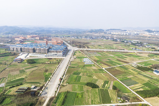 桃江县农村产权交易中心的职责是什么-摄图网