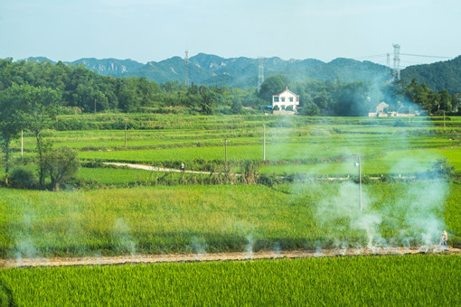 芝罘区征收土地补偿标准-摄图网