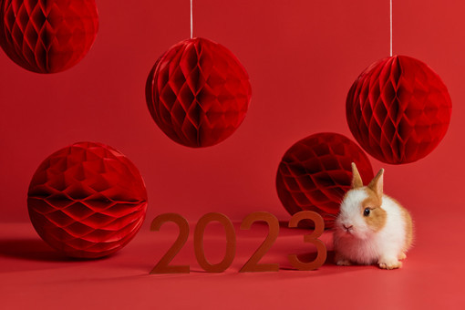 2023年温岭市春节临时生活补贴标准-摄图网