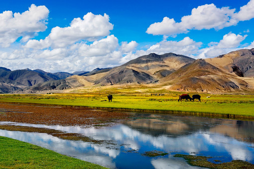 西藏2023年惠民惠农补贴政策清单-摄图网