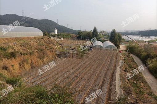 福建省农村产权交易材料