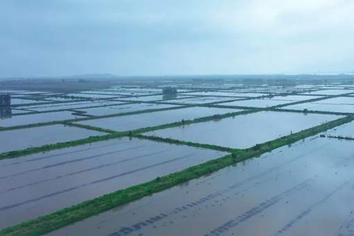 连江县2023年种粮补助政策-土流网拍摄