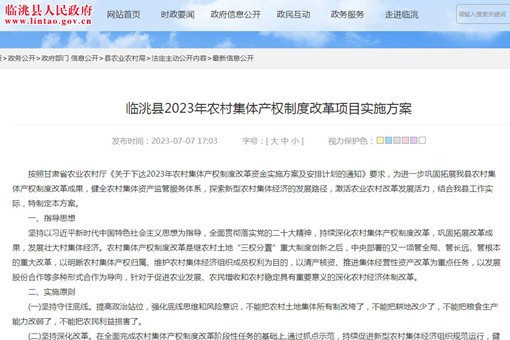 临洮县2023年农村集体产权制度改革项目实施方案