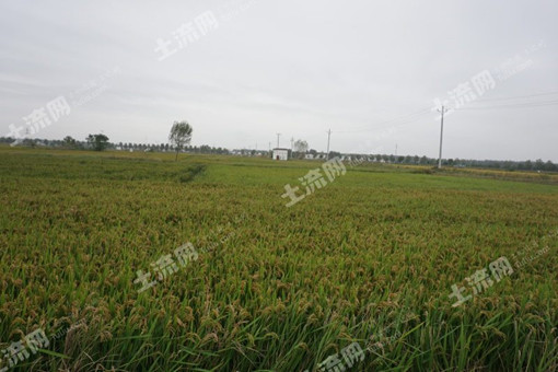 长垣市拆迁村名单2023年最新