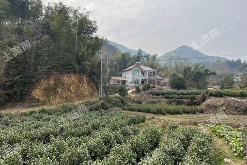 吴江区拆迁村名单最新2023