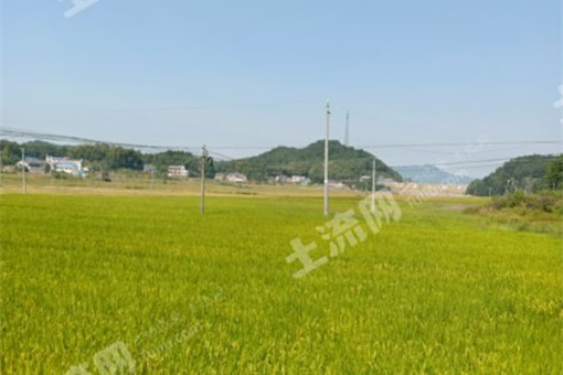 湘潭市农村产权交易中心主要职责