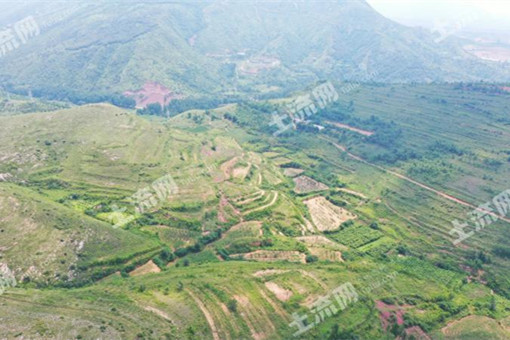 2023年河南省示范家庭农场申报条件