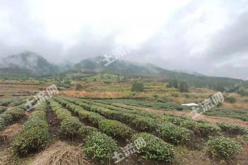 永安市农村产权交易范围是哪些