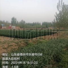 孔镇大后院村委会村西北9亩荒地对外发包项目