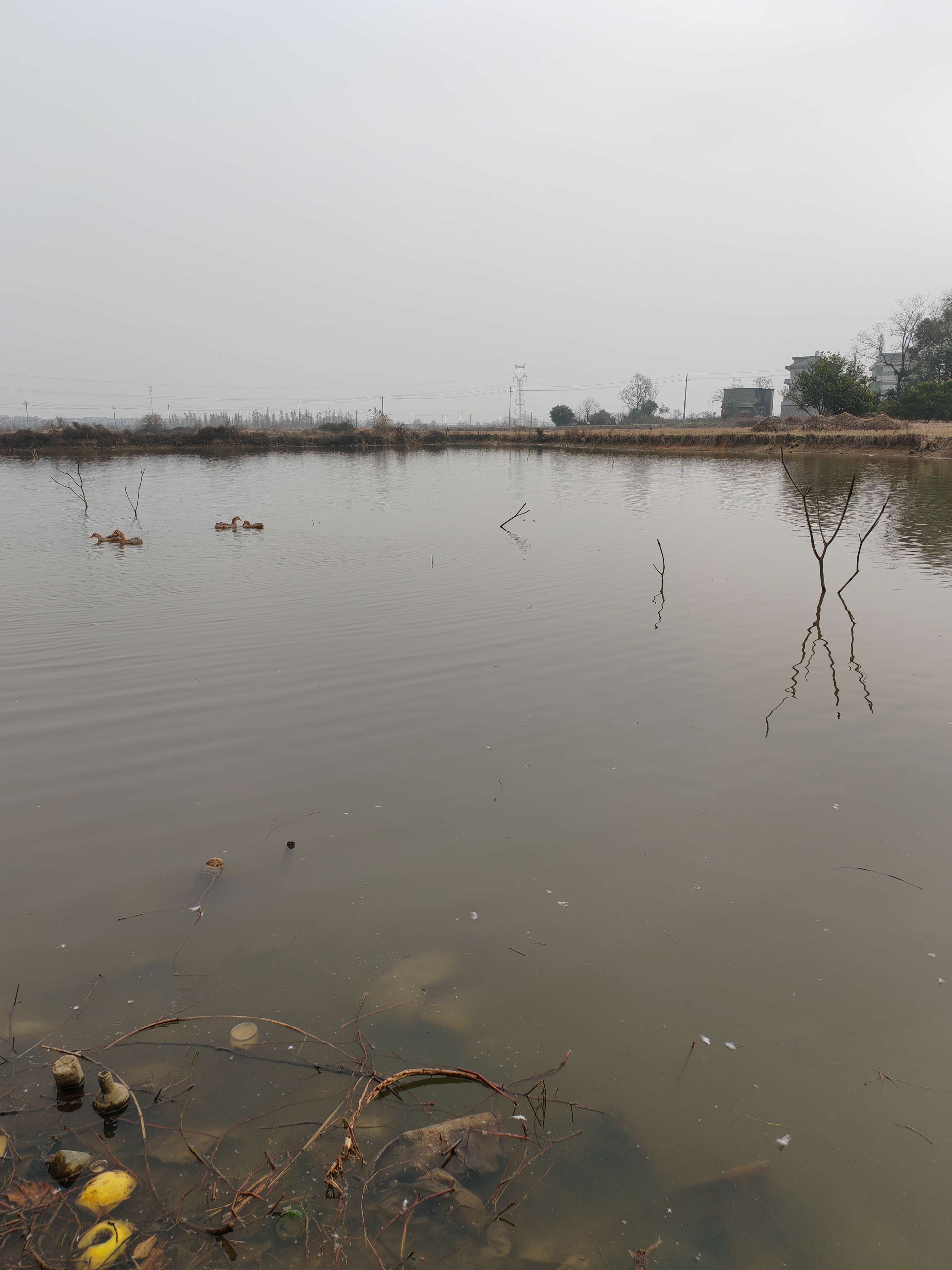 渝水区新溪乡西江村民委员会七公塘仔鱼塘出租