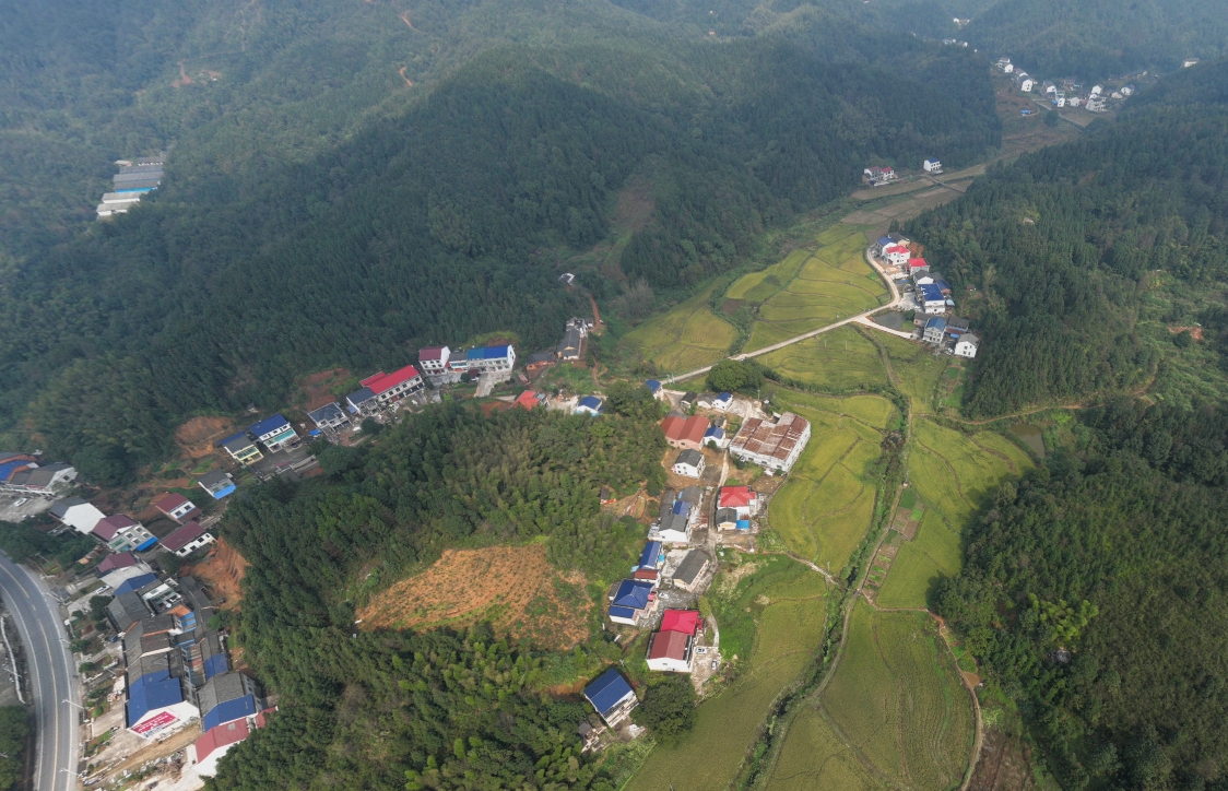 岳阳伍市镇图片