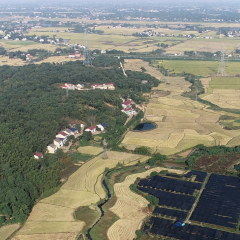 赫山区泉交河镇兴泉村0101-03 水田出租