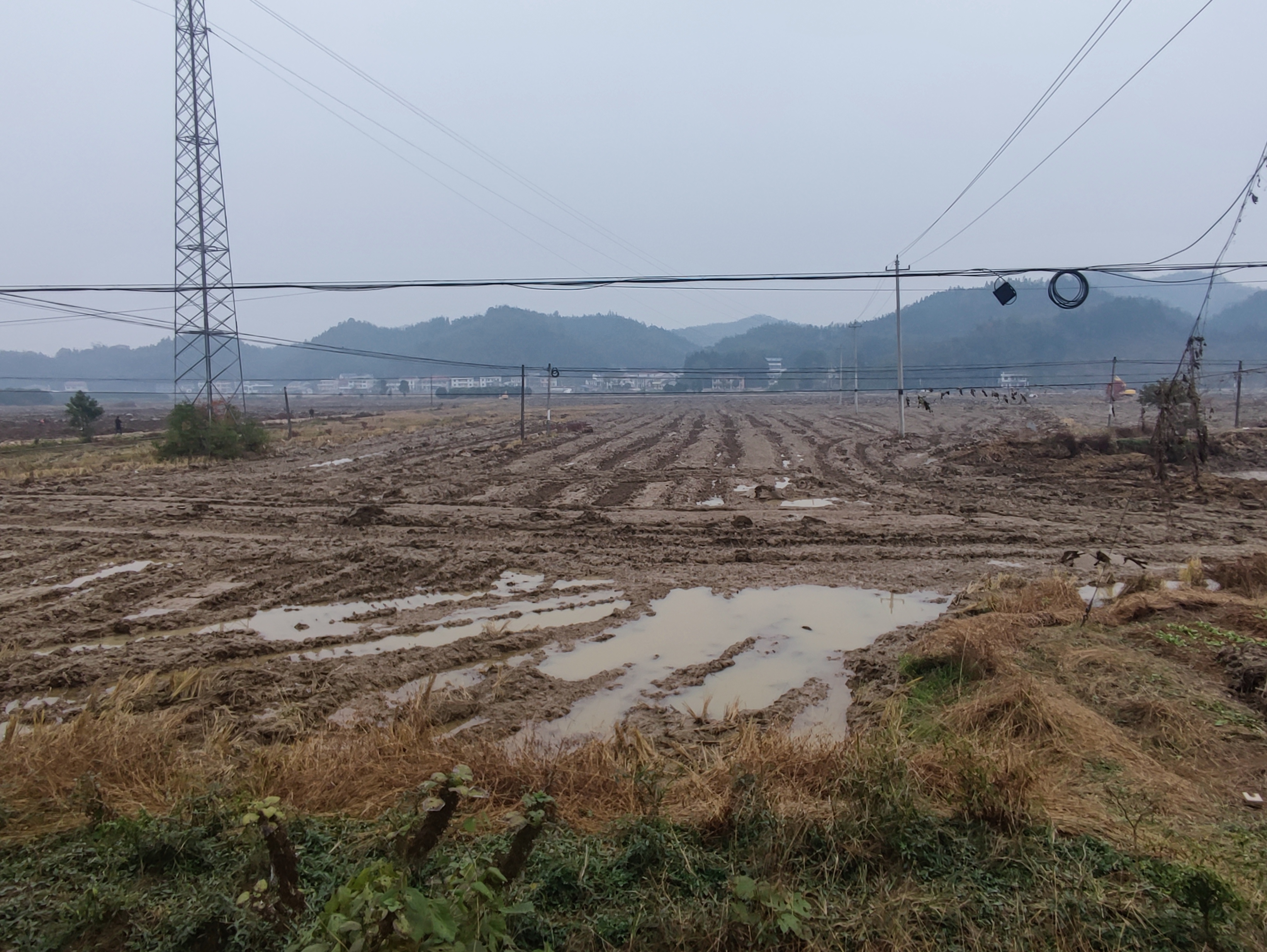 桃江县大栗港镇德茂园村500亩高标准农田