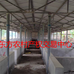 省直辖县东方市大田镇俄龙村21.3亩猪舍鱼塘及周边土地出租