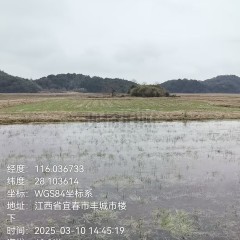 丰城市淘沙镇枫树村委会水田