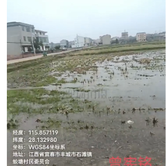 丰城市石滩镇蛟塘村委会水田