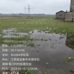 丰城市石滩镇巷口村委会水田