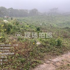海南省直辖县白沙黎族自治县白沙县七坊镇高地村委会南车山坡96亩集体土地出租