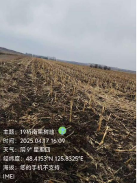 五大连池市太平乡南泉蒙满村股份经济合作社第8、9块机动地出租