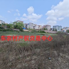 乐东黎族自治县利国镇羊上村委会9.84亩鱼塘出粗