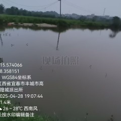 丰城市隍城镇坎上村委会下管档山塘