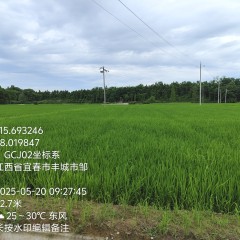 丰城市丽村镇梅溪村委会水田