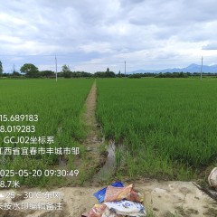 丰城市丽村镇梅溪村委会水田
