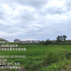 丰城市丽村镇梅溪村委会水田