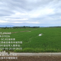 丰城市丽村镇梅溪村委会水田