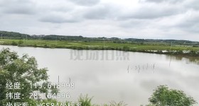 丰城市泉港镇坑里村委会排涝站山塘