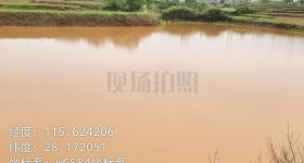 丰城市泉港镇坑里村委会金坊组斗和笼山塘