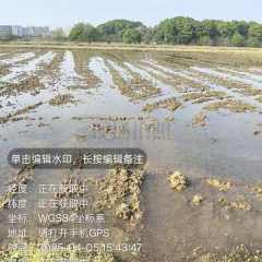 丰城市洛市镇庄田村委会水田