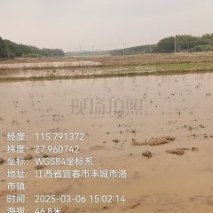 丰城市洛市镇庄田村委会水田
