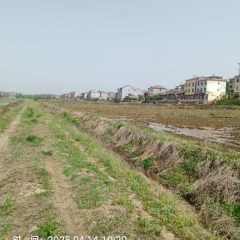 丰城市洛市镇庄田村委会水田