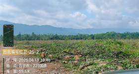 海南省直辖县万宁市海胶集团新中分公司南林片区红卫队130.266亩胶园林下土地出租