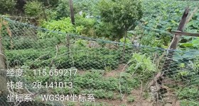 丰城市拖船镇宋坊村委会东山组低洼鱼塘