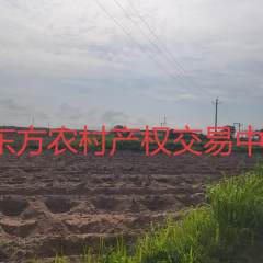海南省直辖县东方市三家镇红草村鳄鱼小镇新园区（南区)地块八空地和附属设施共30.93亩流转 