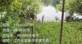 丰城市拖船镇宋坊村委会饶家组鱼塘
