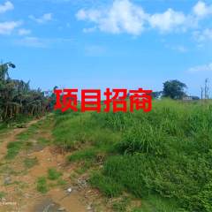 海南省直辖县东方市感城镇宝西村缺水园381.73亩集体土地经营权合作入股