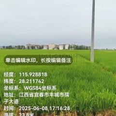 丰城市筱塘乡庙前村委会水田