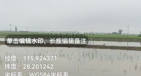 丰城市筱塘乡庙前村委会水田